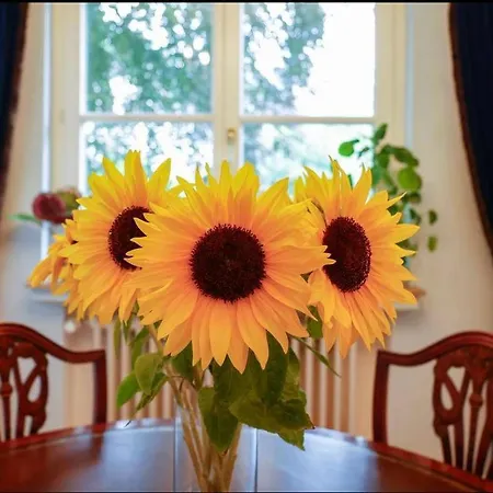 Siedlinghausen Winterberg