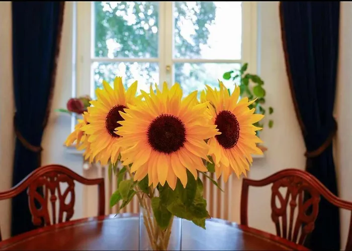 Siedlinghausen Winterberg