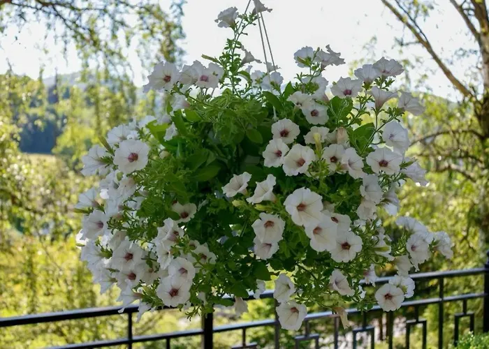 Siedlinghausen Apartment